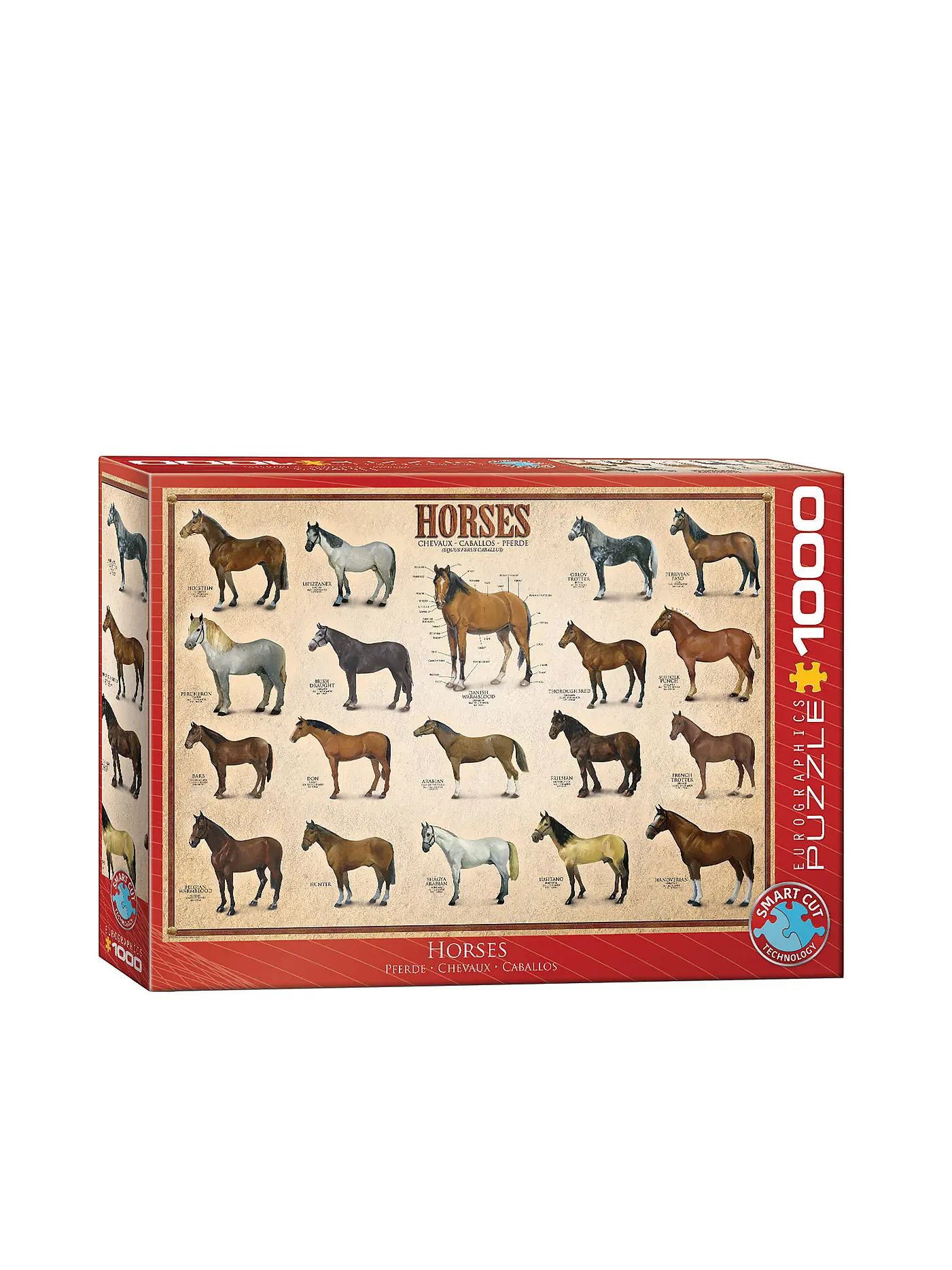 EUROGRAPHICS | Puzzle - Horses 1000 Teile | 